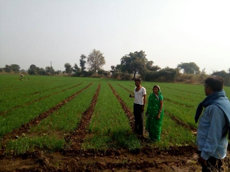 agriculture (12)