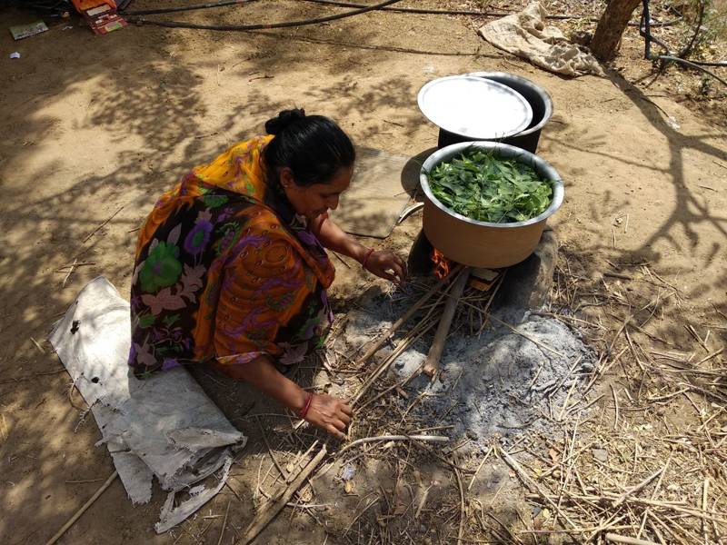 agriculture (15)