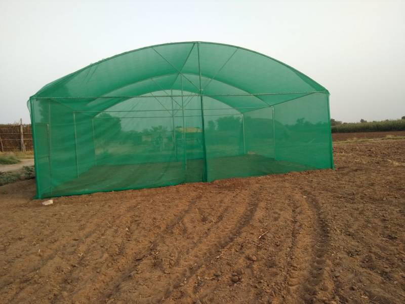 agriculture (21)