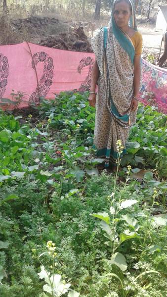 agriculture (6)